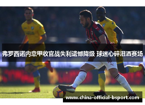 弗罗西诺内意甲收官战失利遗憾降级 球迷心碎泪洒赛场